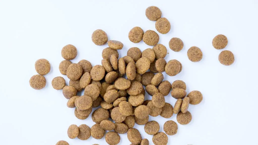 Best quality kibble (coming soon!)