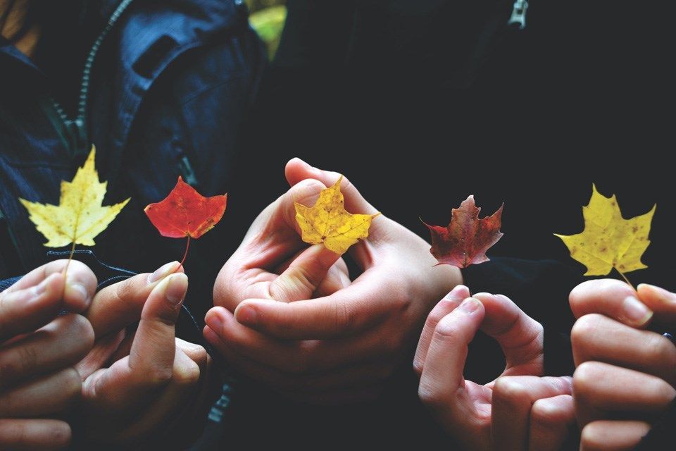 A group of people are holding maple leaves in their hands