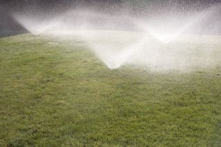 Sprinkler - Landscaping Services