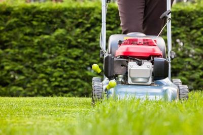 grass trimmer - Landscaping Services