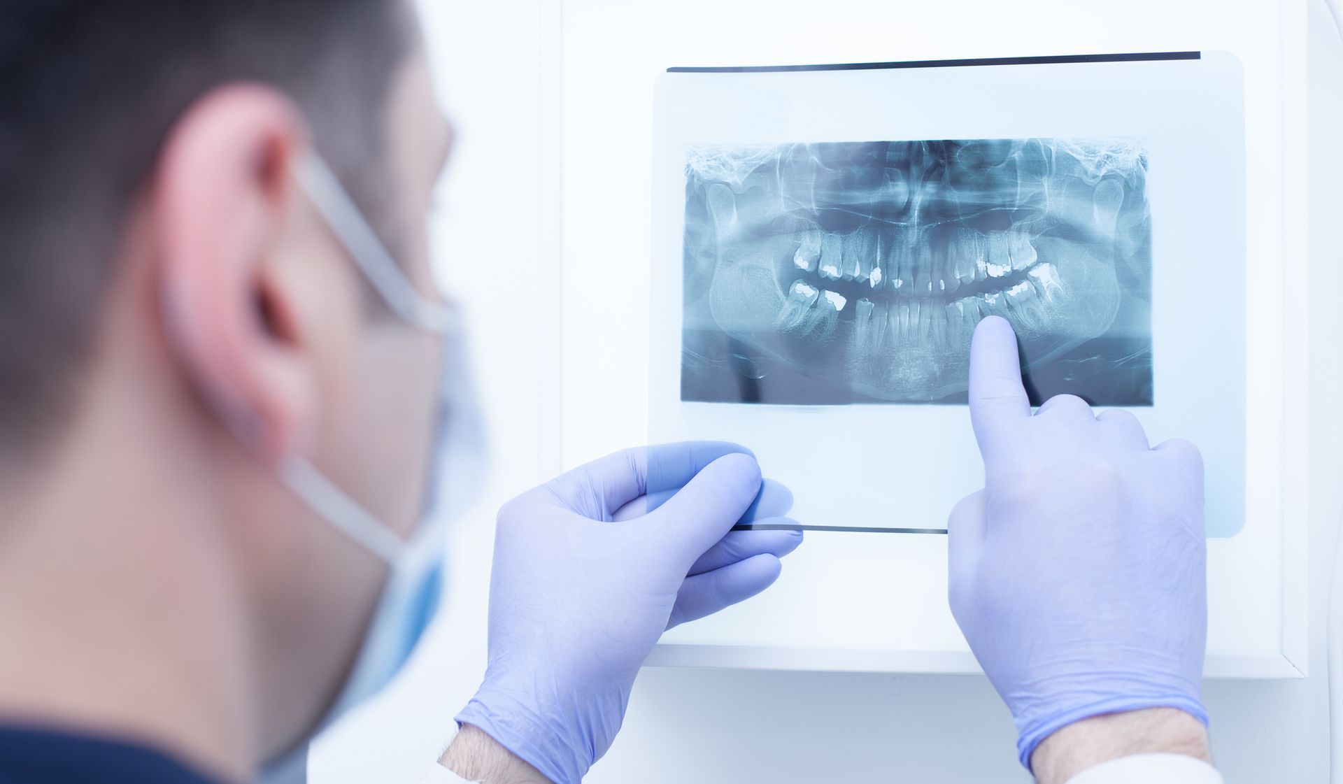 Identifying The Types Of Teeth