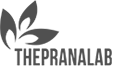 a black and white logo for a company called the pranalab .
