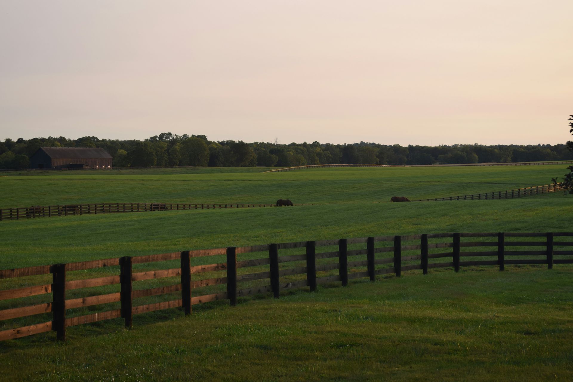 A wooden fence surrounds a large grassy field