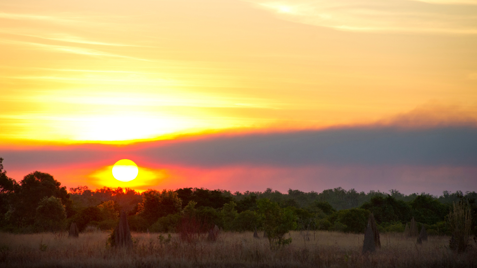 Sunset Over a Field and Trees, with A Fiery Orange Sky — Kakadu Billabong Safari Camp In Kakadu, NT