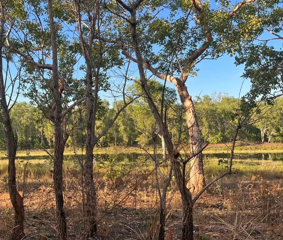 A View From Cabins Of Billabong — Kakadu Billabong Safari Camp in Kakadu, NT