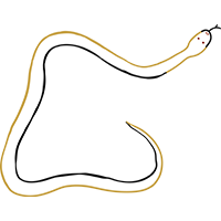 A Yellow and Black Snake Slithering on A White Background — Kakadu Billabong Safari Camp in Kakadu, NT