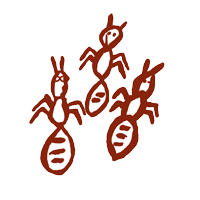 Three Brown Cartoon Ants — Kakadu Billabong Safari Camp in Kakadu, NT