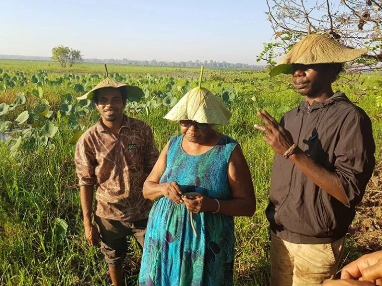 Three People Wearing Leaf Hats Stand in A Marshy Field — Kakadu Billabong Safari Camp in Kakadu, NT