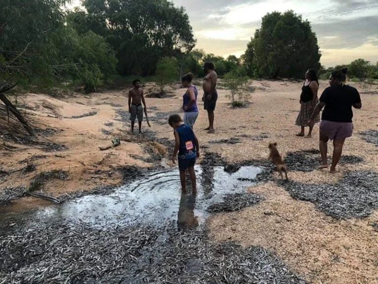 People Standing Near a Body of Water Filled with Small — Kakadu Billabong Safari Camp in Kakadu, NT
