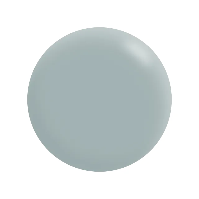 A close up of a gray circle on a white background.