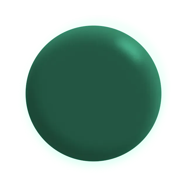 A green circle on a white background.