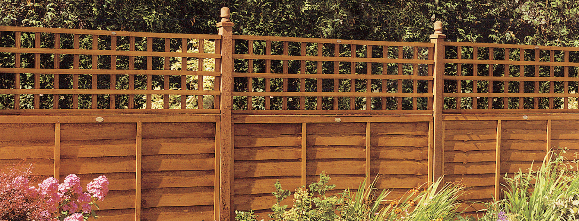 Lattice trellis fence panels Belfast
