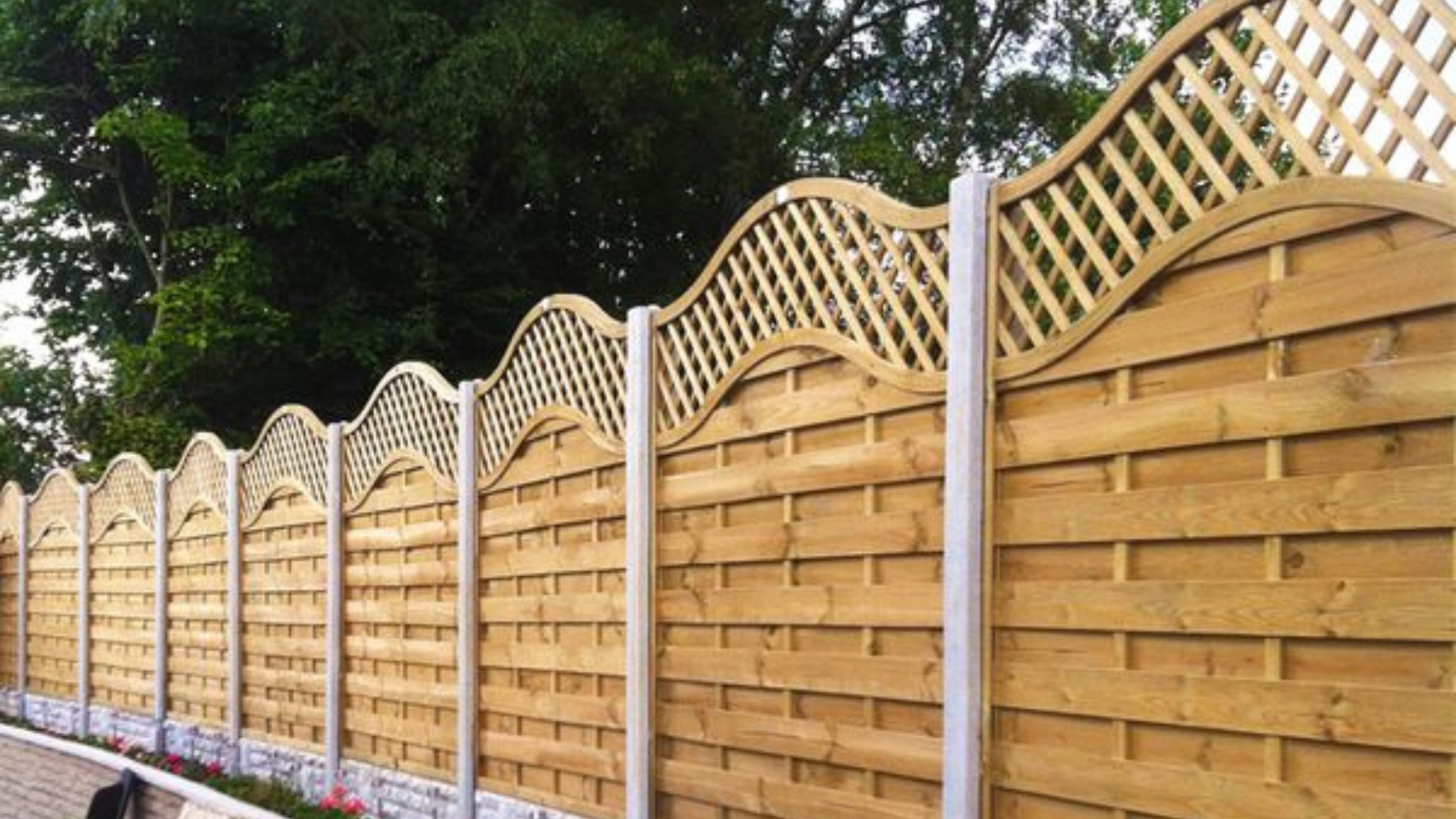Omega trellis fence panels Belfast
