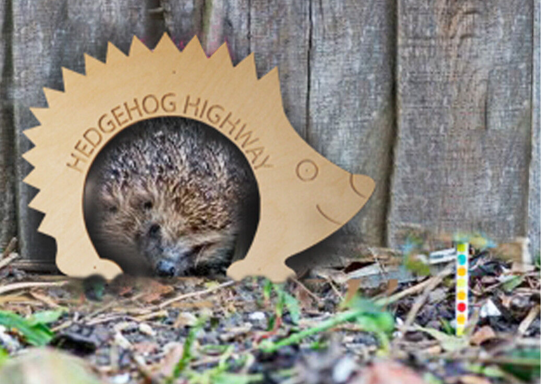 Hedgehog friendly fence panels Belfast