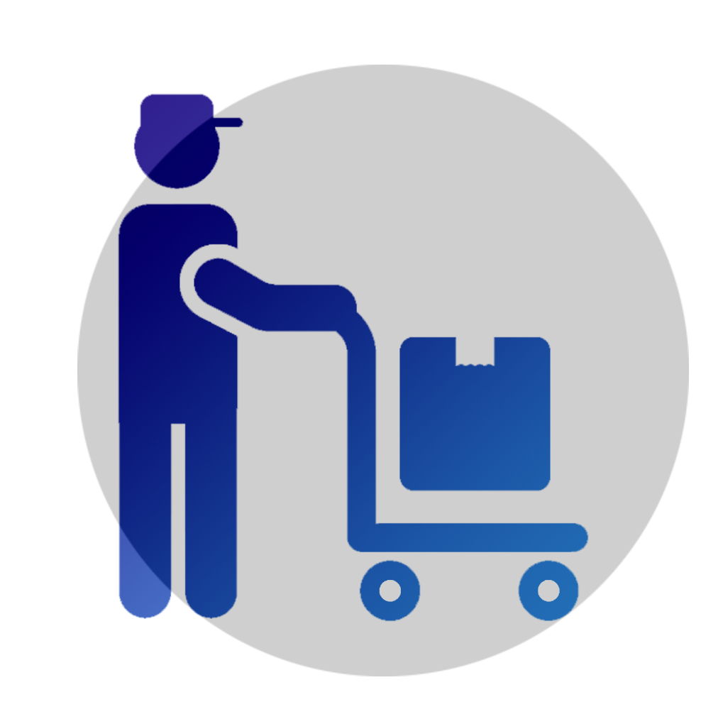 icona consulenza tecnica personalizzata