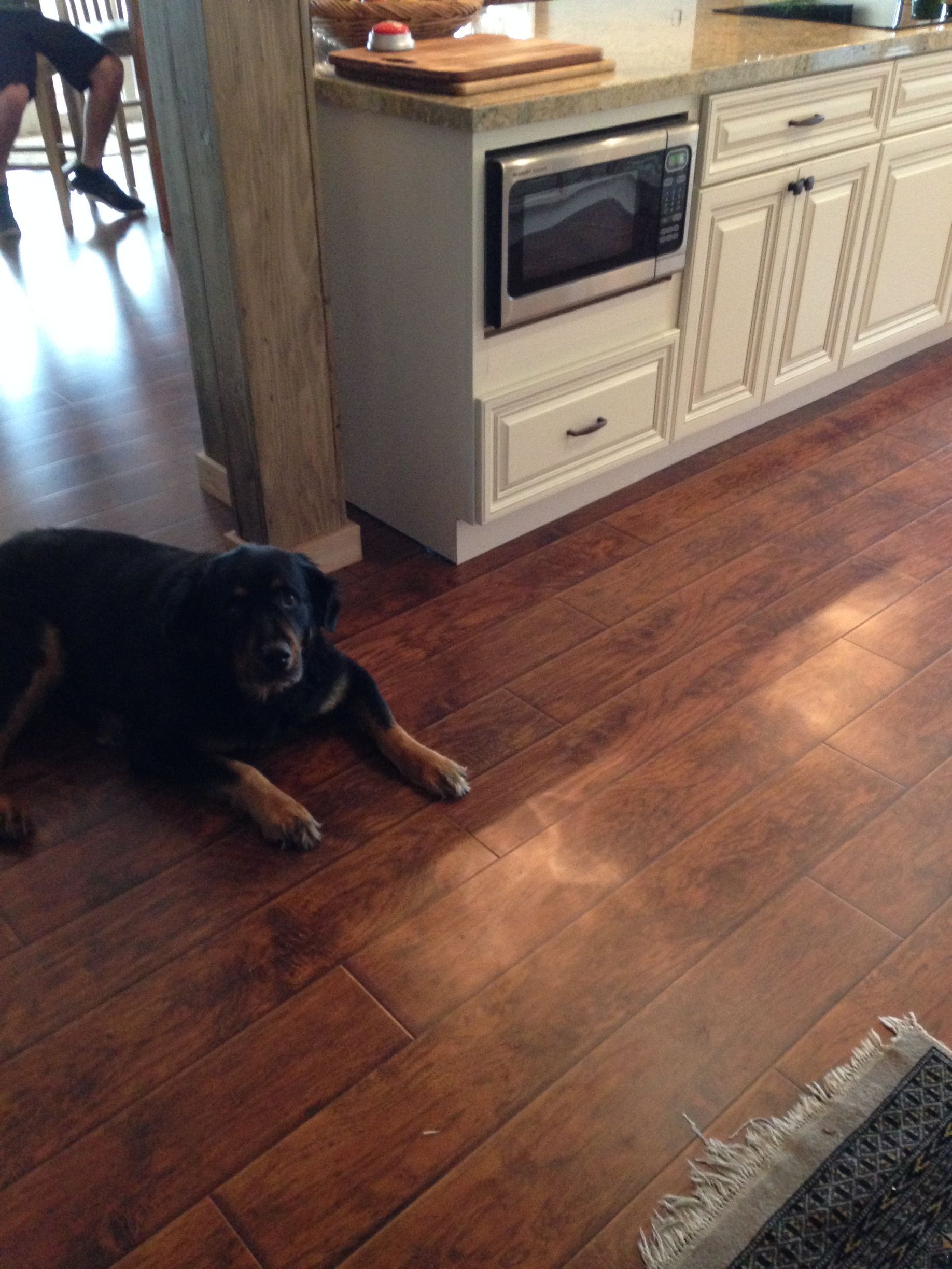 Dog laying on wood floor next to kitchen cabinets with a microwave.