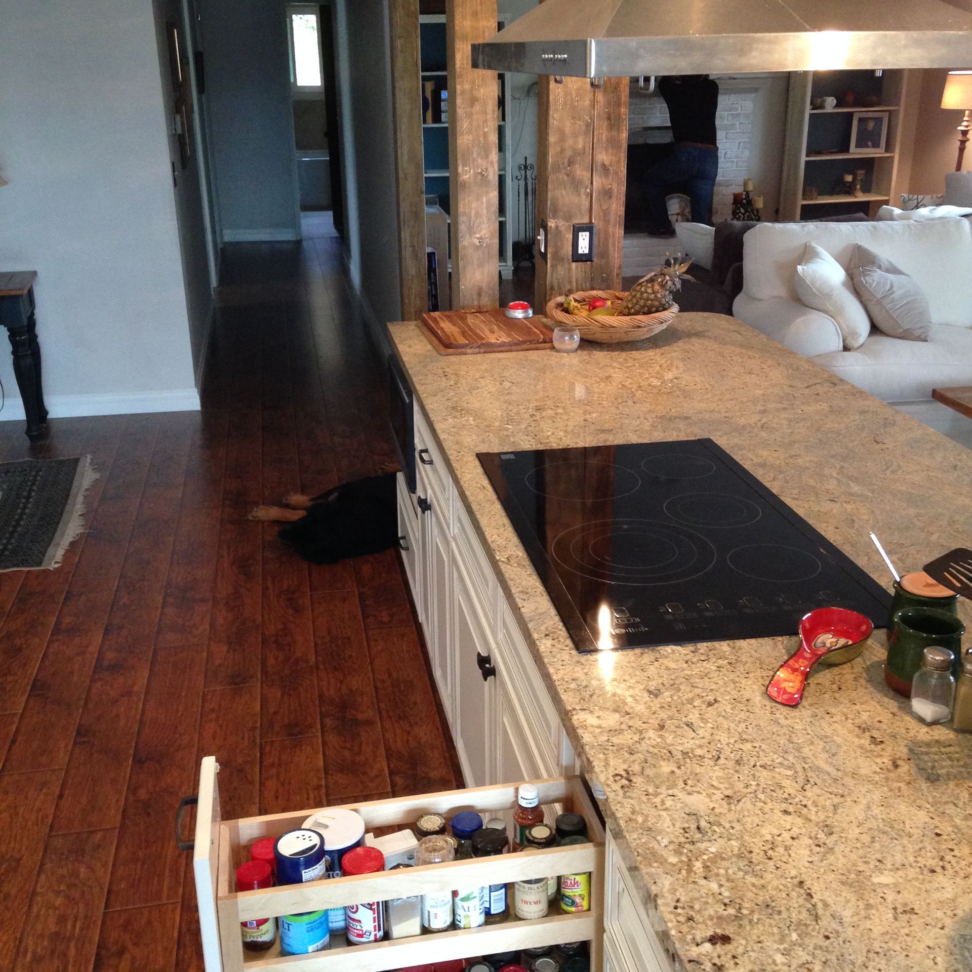 Kitchen with a granite countertop and spice rack. Dark hardwood floors, a dog, and a person in the background.
