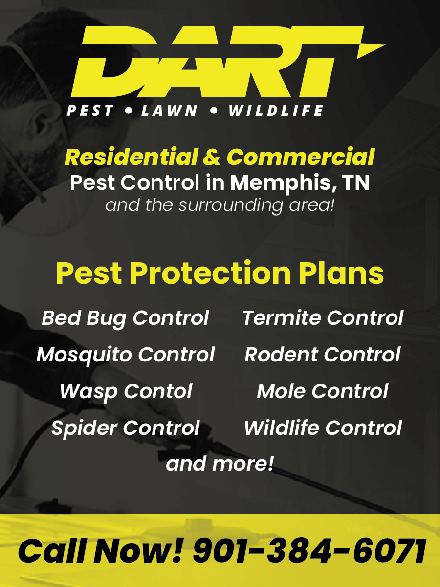 Pest Control Services Memphis, TN Pest Control Services Memphis, TN