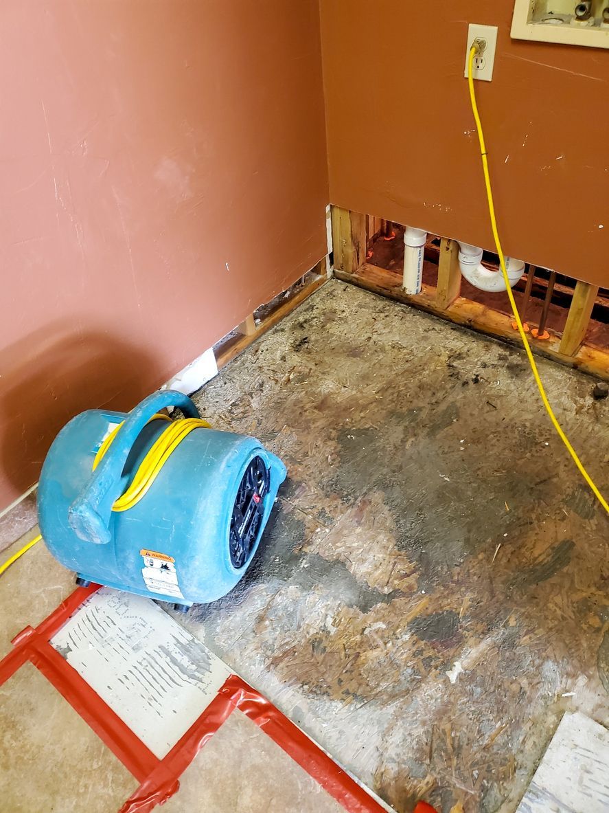 Air+Movers+Drying+stock+photo-1920w.jpg