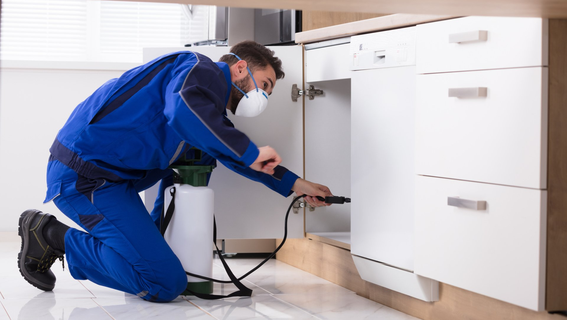 mold remediation in Memphis, TN