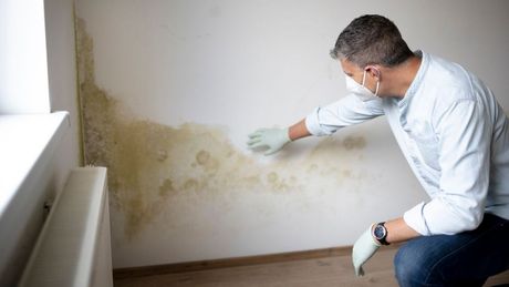 mold remediation in Memphis, TN