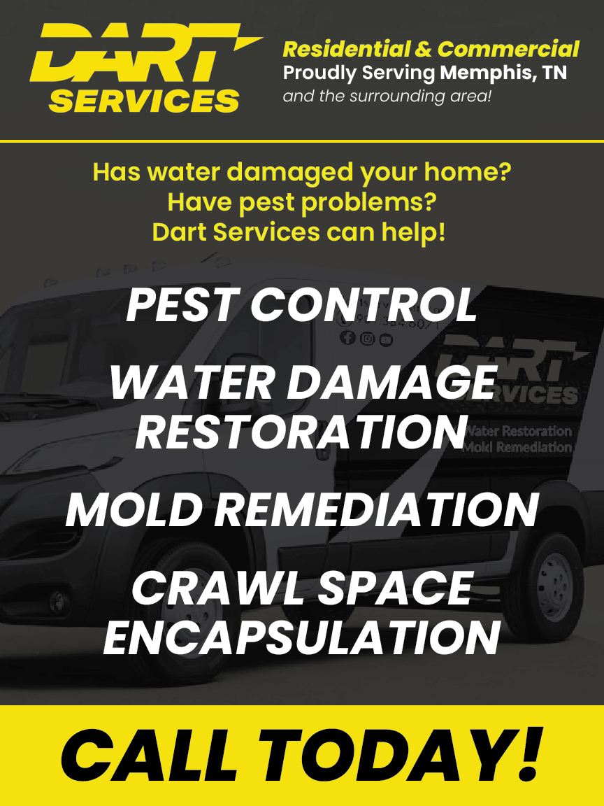 a poster for dart services residential water and mold remediation