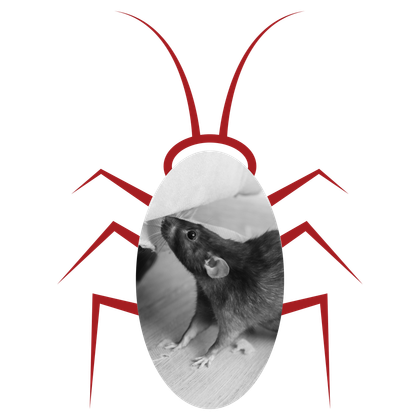 A cockroach with a picture of a rat on it on the My Private Exterminator site