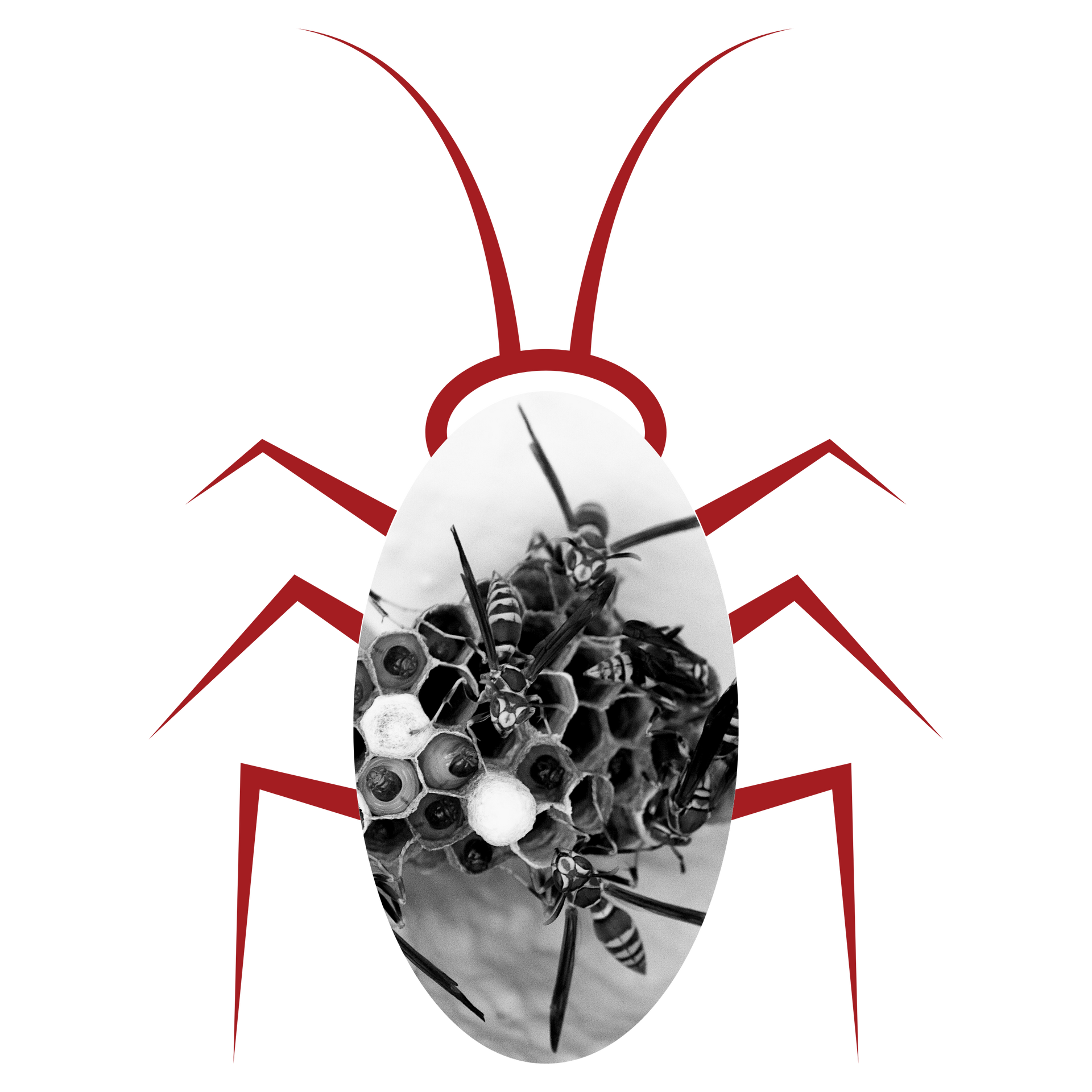 A black and white drawing of a cockroach with a nest on its back on the My Private Exterminator site