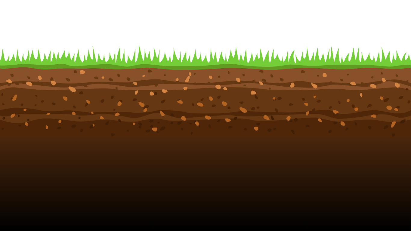 A cross section of a lawn with grass and dirt on the My Private Exterminator site