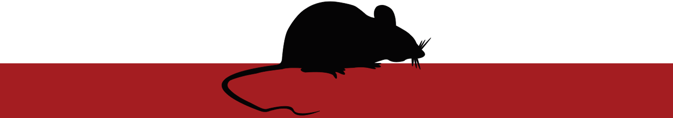 A silhouette of a mouse standing on a red surface on the My Private Exterminator site.