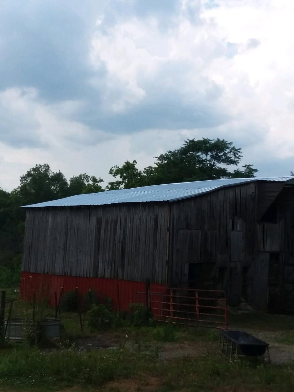 A barn with a blue roof is surrounded by grass and trees