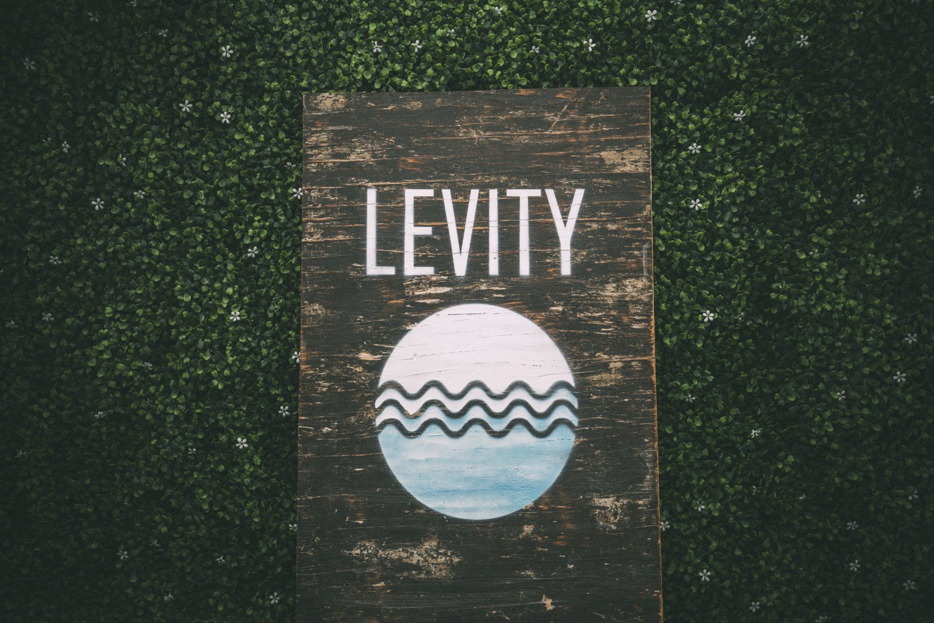 Image of greenery and the Levity logo and lettering on a handmade board