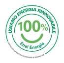 100% energia green logo enel energia