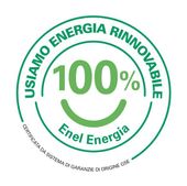 100% energia green enel energia logo