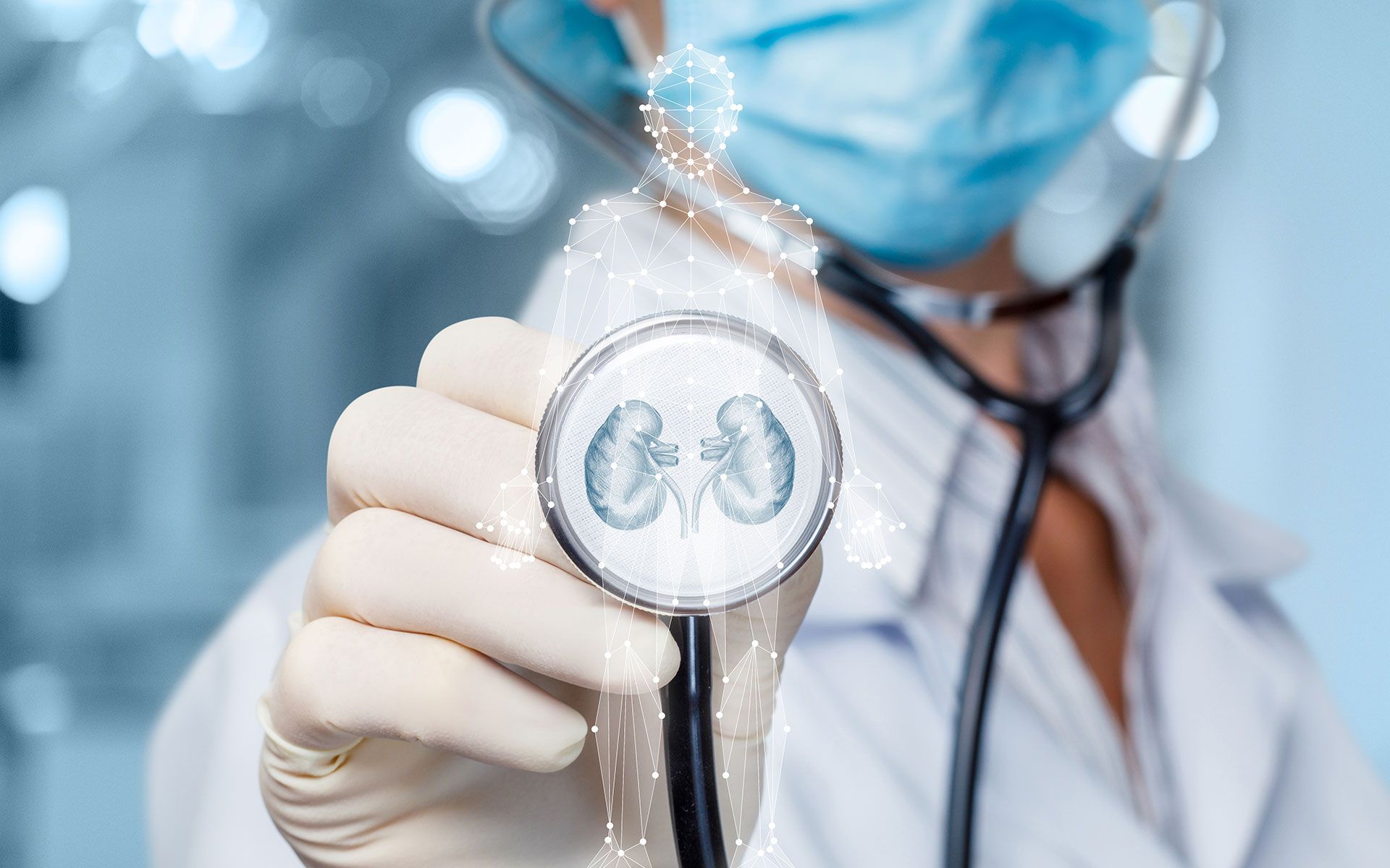 A doctor wearing a mask and gloves is holding a stethoscope with a picture of a kidney on it.