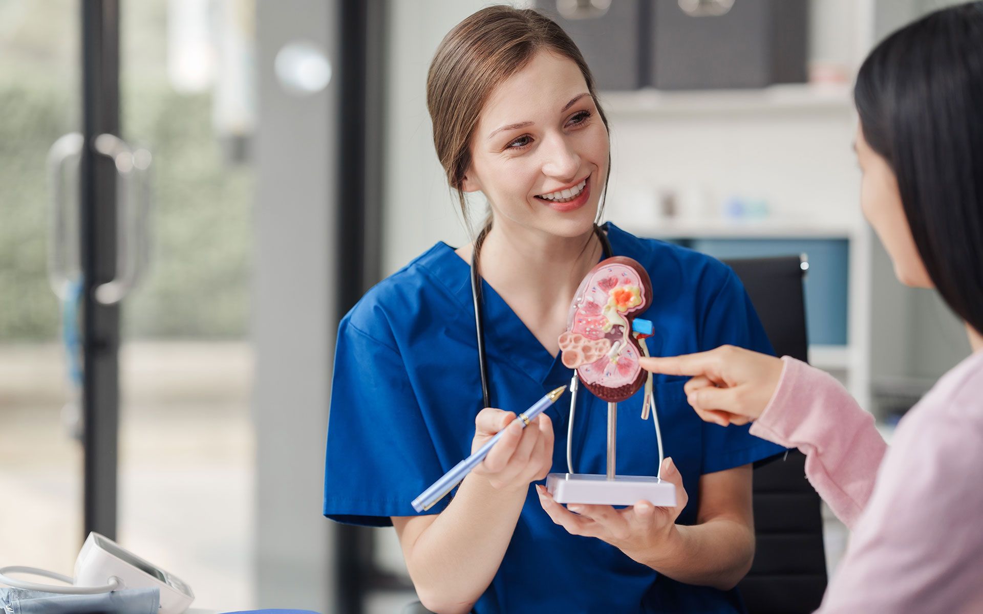 A nurse is holding a model of a kidney while talking to a patient.