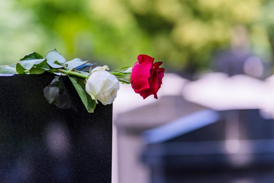 rosa rossa e rosa bianca su una lapide