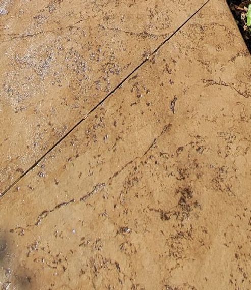 A close up of a concrete floor with a few plants in the background.