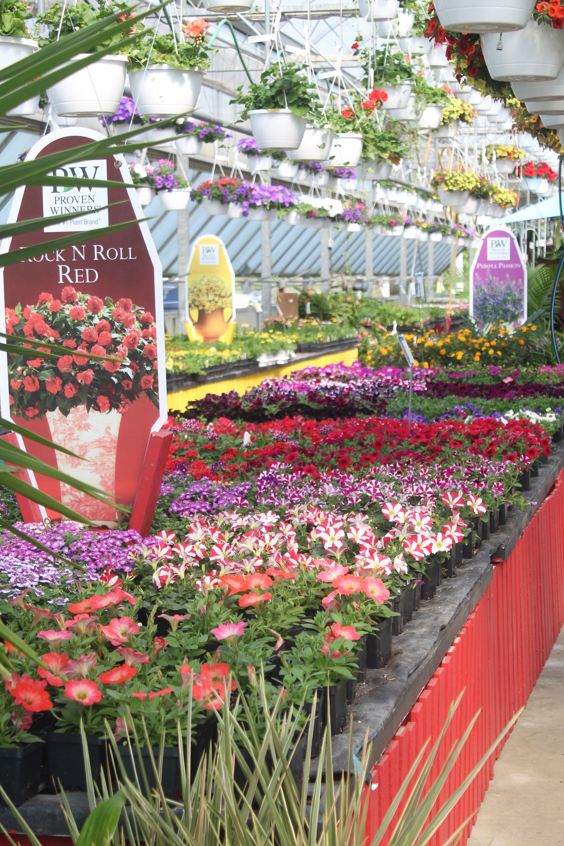 Garden center gallery