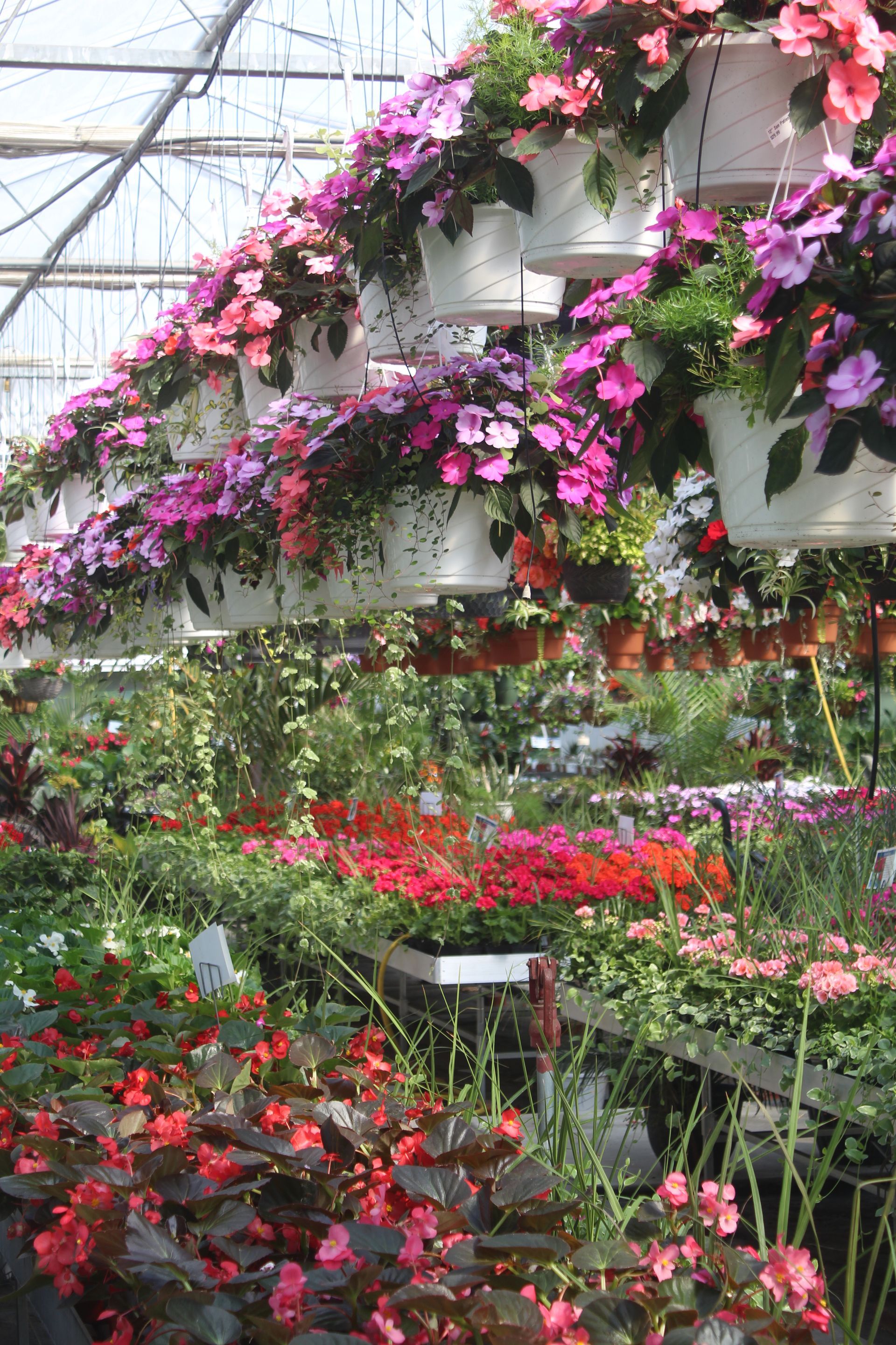 Garden center gallery