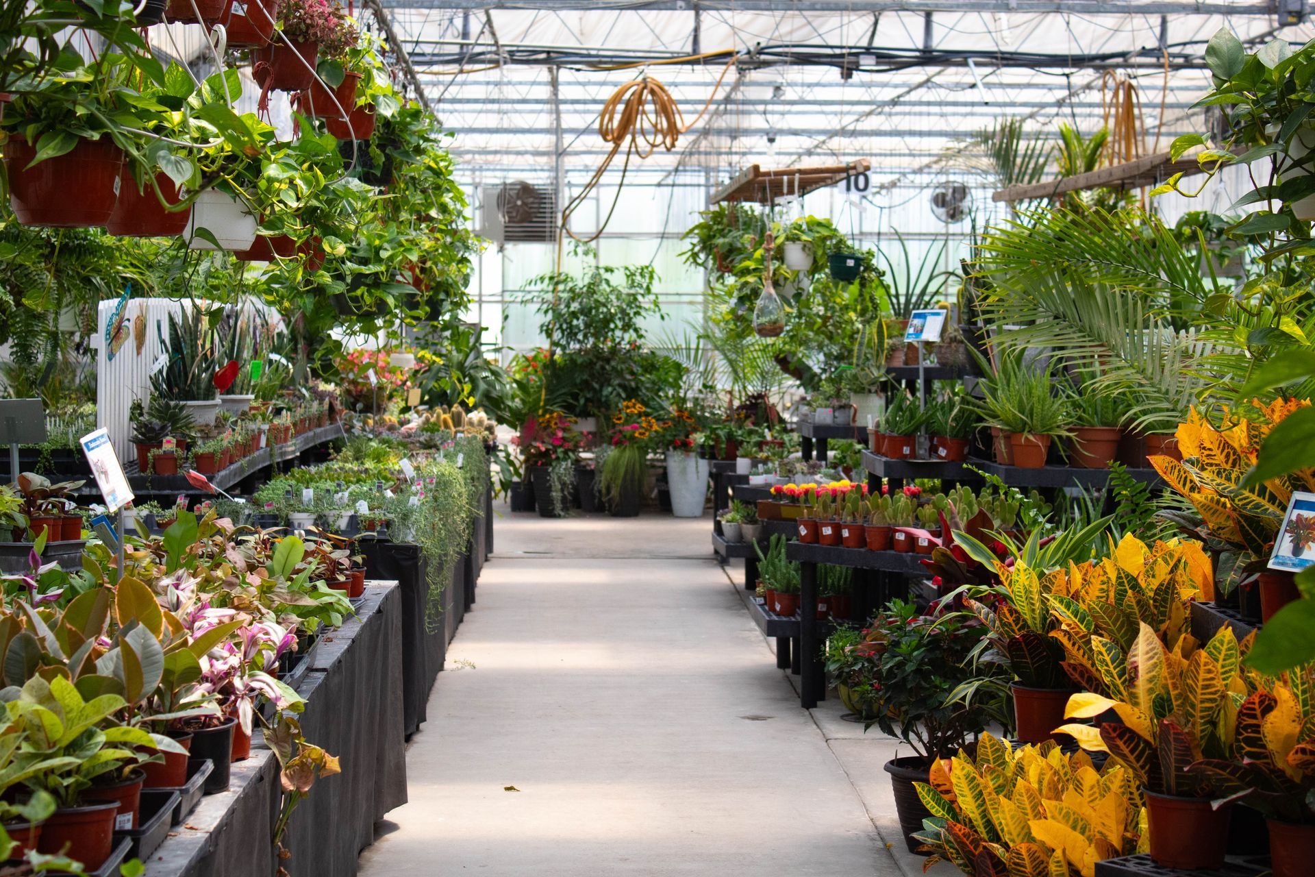 Garden center gallery
