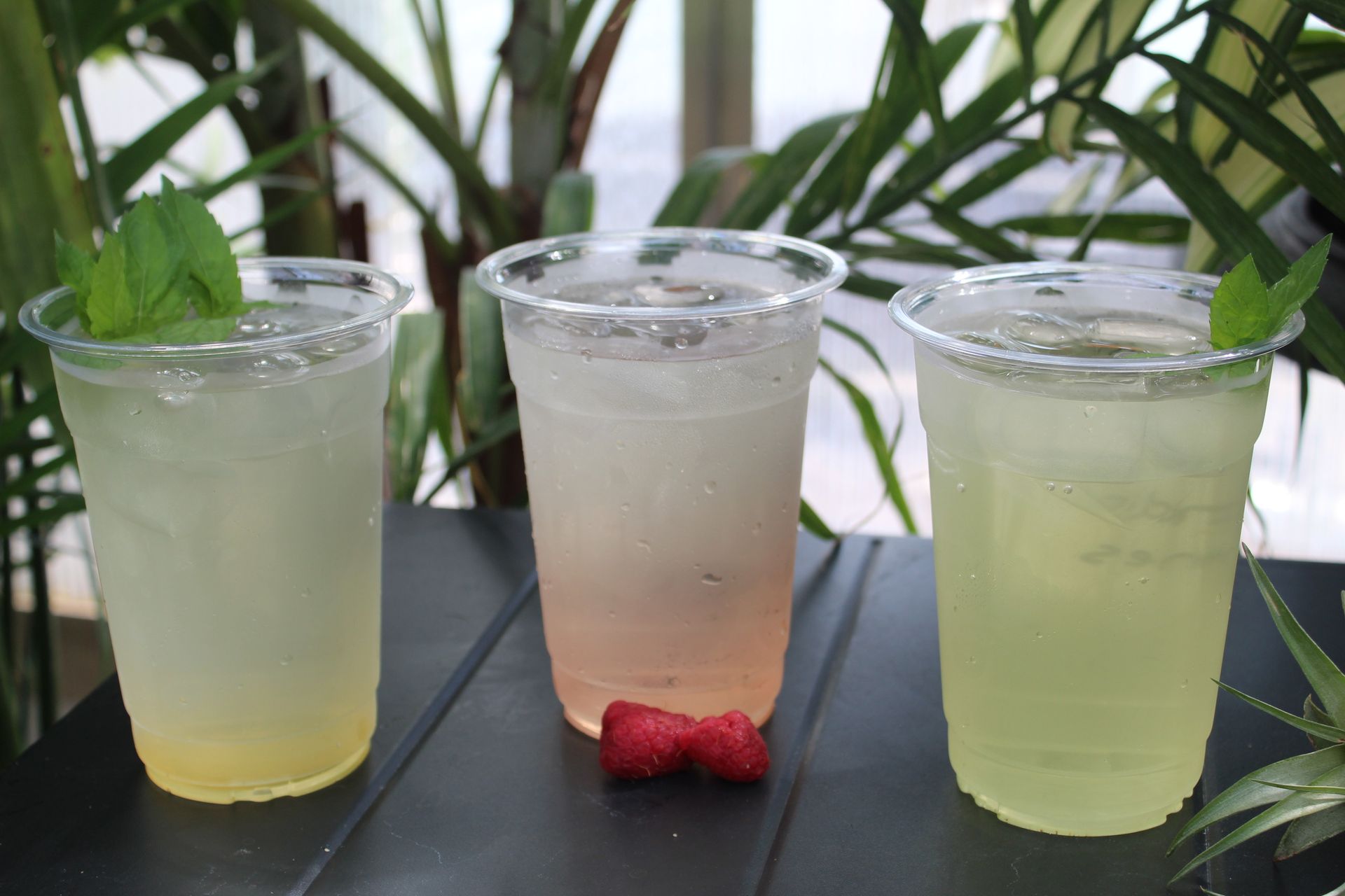 Three refreshing drinks in clear cups, garnished with mint, on a black surface.