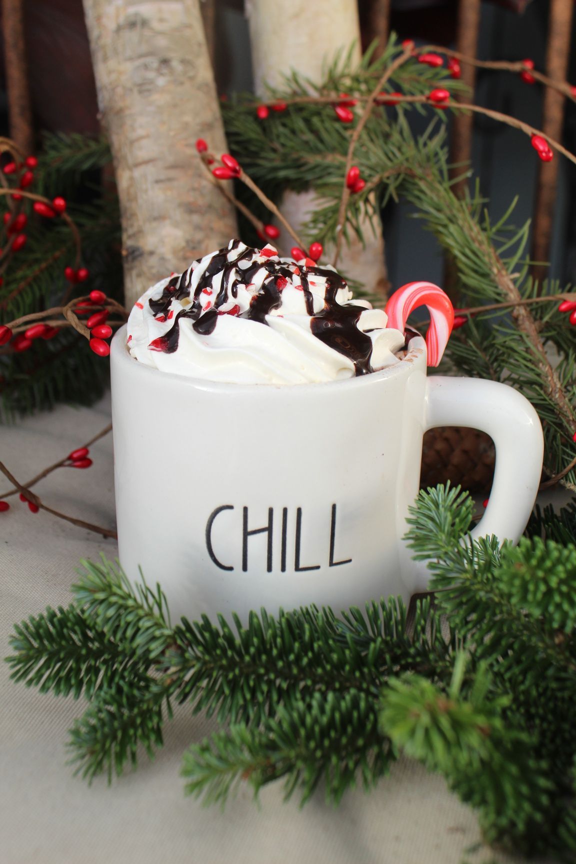 Fruit bowl with blueberries, strawberries, bananas, coconut, and chia seeds.