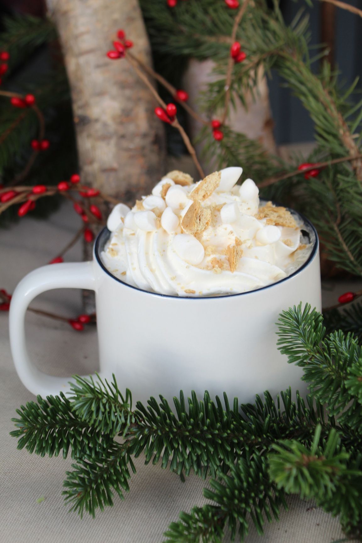Iced coffee in a clear plastic cup topped with a cream topping and crumbs on a white background.