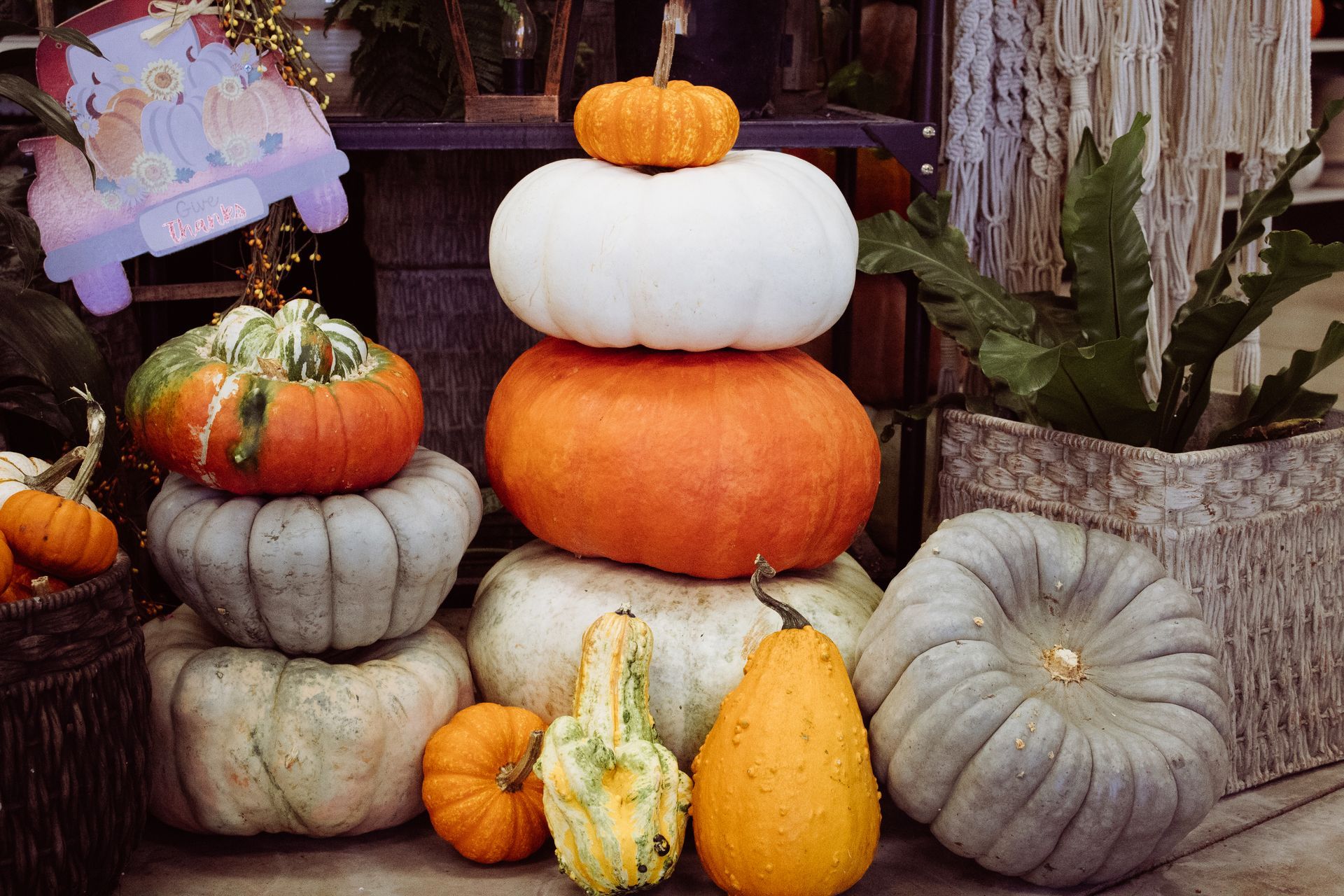 A bunch of pumpkins are stacked on top of each other.
