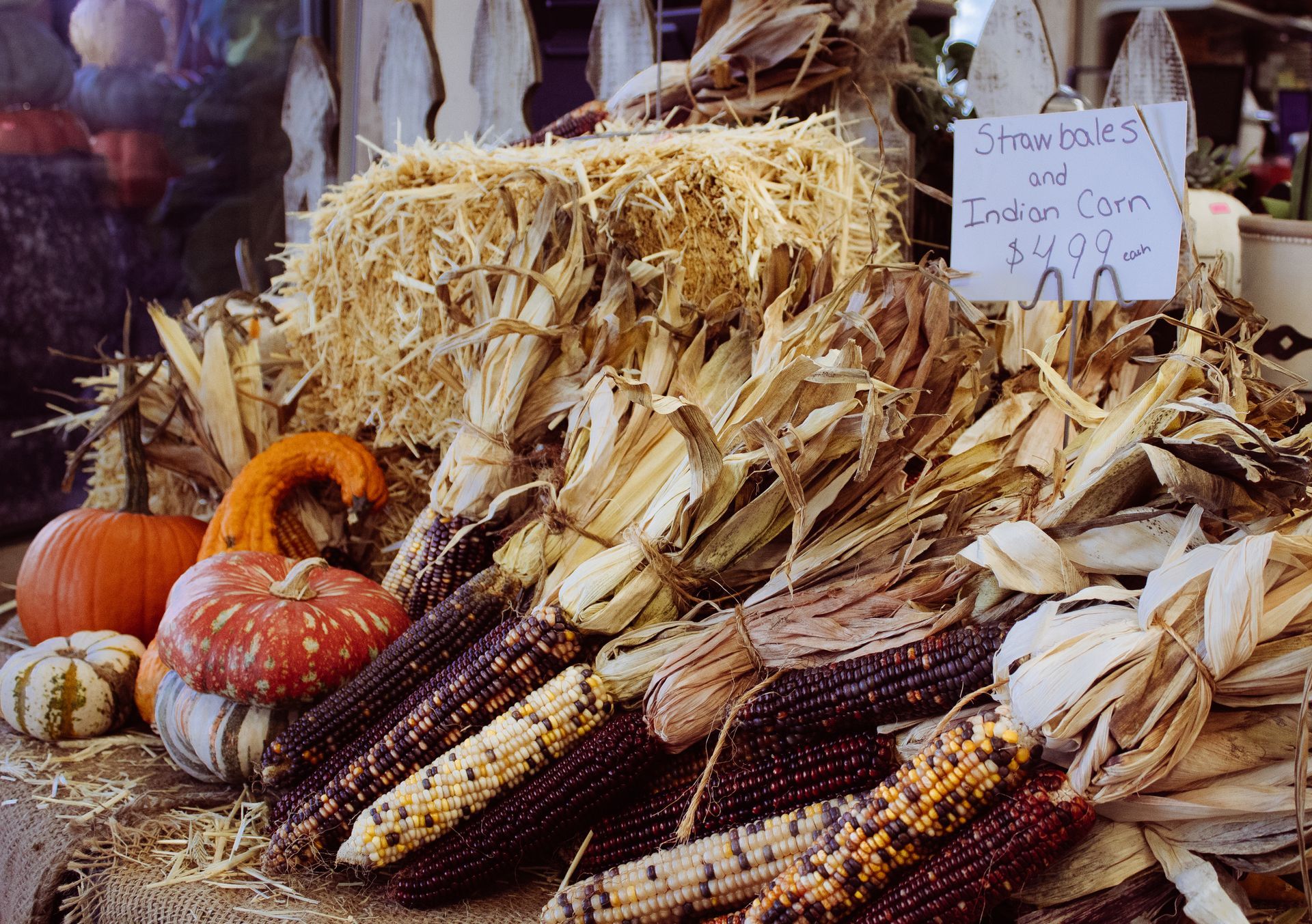 A pile of corn on the cob with a sign that says 