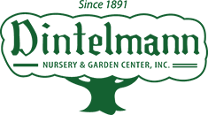 Dintelmann's Nursery & Garden Center, Inc.