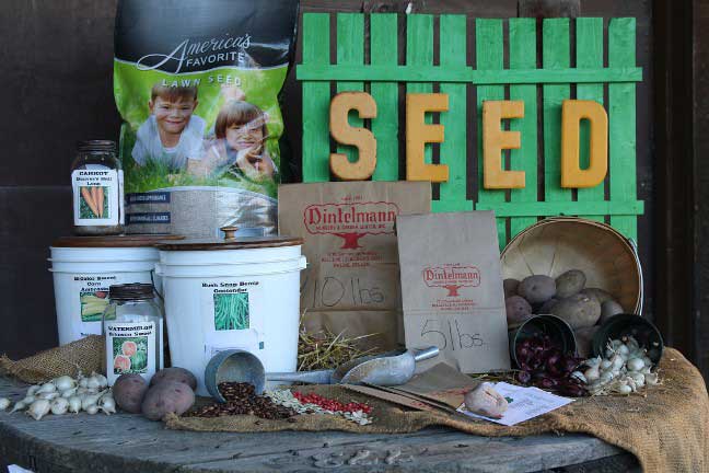 Plants and Flower Seeds — Gardening Supplies in Belleville, IL