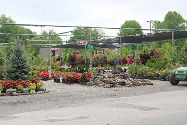 Plants for Landscape — Gardening Supplies in Belleville, IL