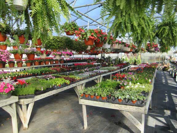 Flower Garden — Gardening Supplies in Belleville, IL